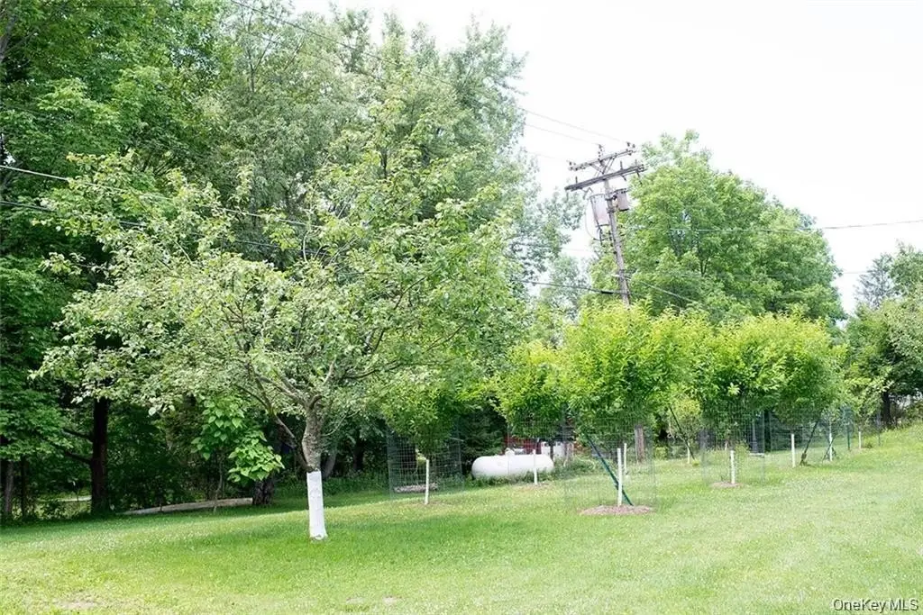 Picture 8