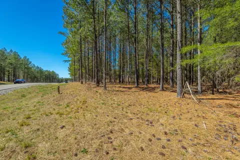 Residential Lot in Jasper Highlands