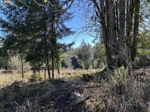 Buildable Lot in Vernonia, Oregon