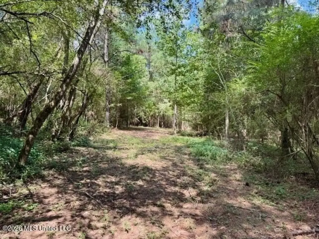 Picture 11
