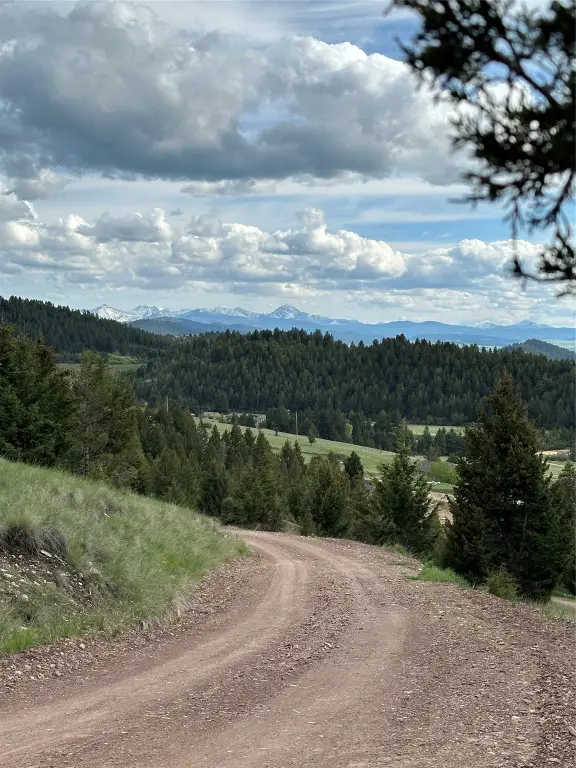 Picture 6
