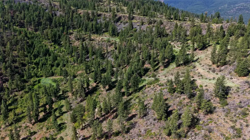 Picture 29