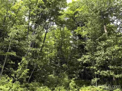 Gwinn, MI Vacant Land