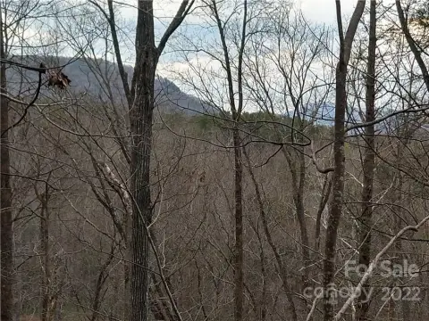 Mountain View Land Near Lake Lure