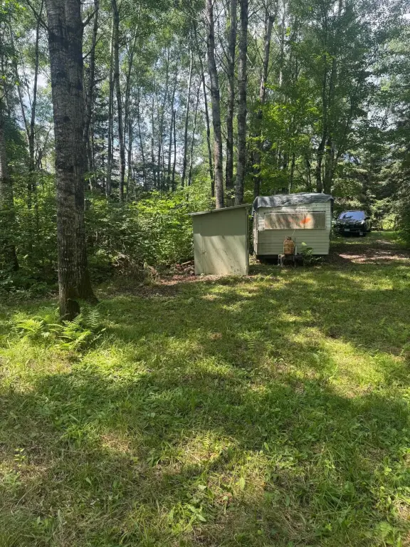 Picture 4