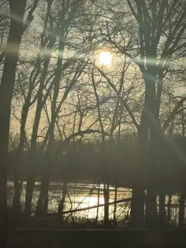 Recreational Land in Elkhart, Texas