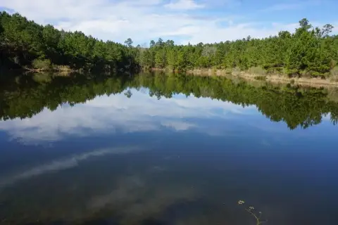 56 Acres with Spring-Fed Lake