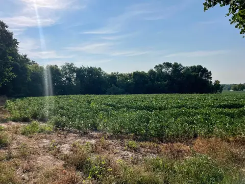Agricultural Land with Electricity Available