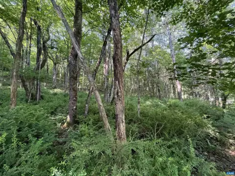 Serene Wooded Mountain Escape