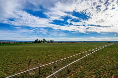 Irrigated Agricultural Farmland