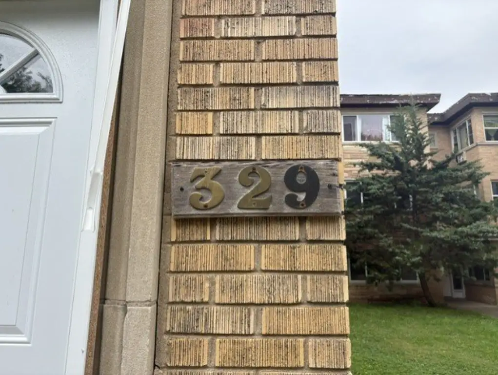 Picture 5