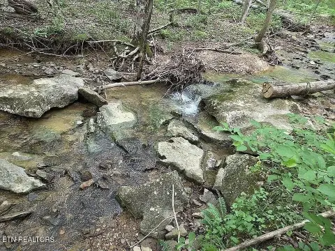 38 Acres of Mountain Property