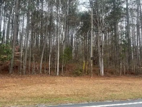 Prime Land on Cascade Palmetto