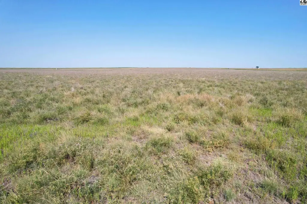 Picture 27