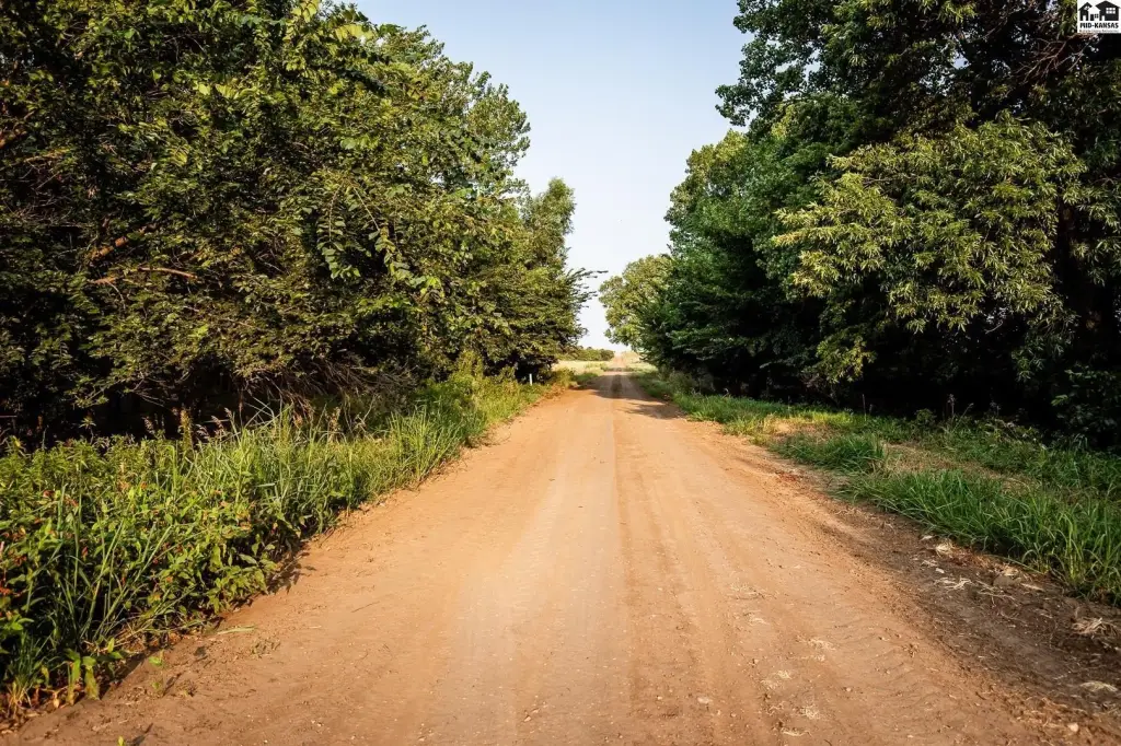 Picture 45