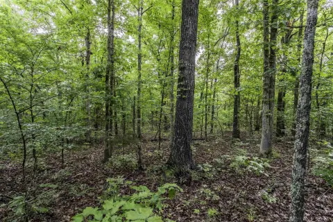 Hardy, AR Vacant Land Acreage