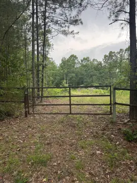 Secluded Acreage with Hardwood Timber