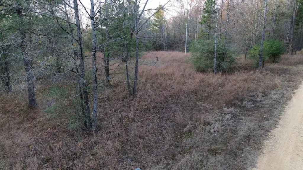 Picture 5
