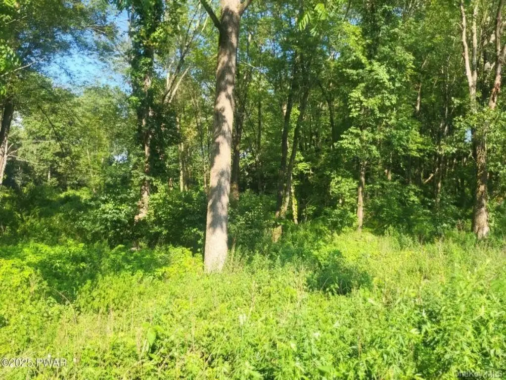 Picture 25