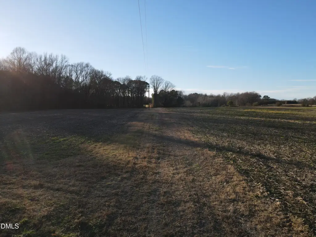 Picture 7