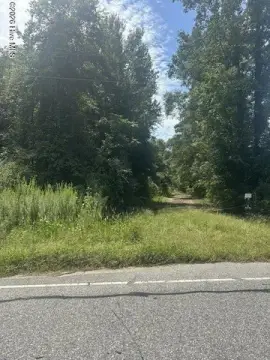 Wooded Hunting Land with Wetlands