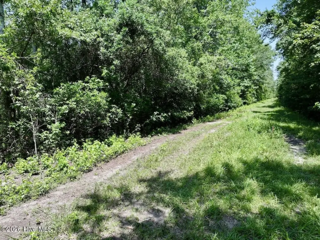 Picture 25