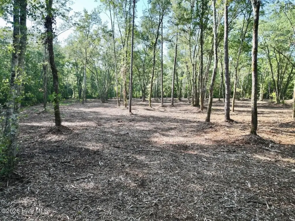 Picture 18