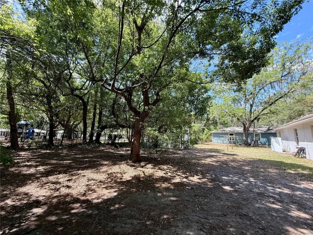 Picture 19
