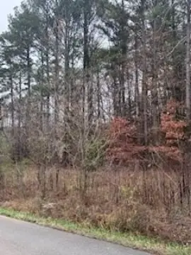 Residential Land in Cleveland, TN