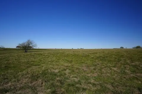 9.3 Acre Homesite Near Schulenburg