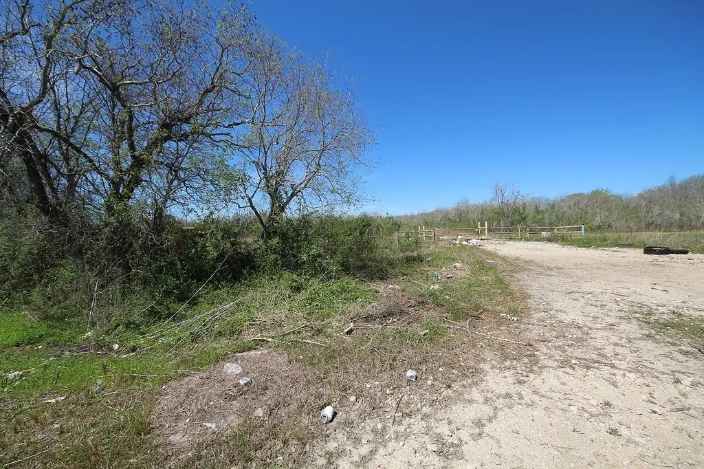 Picture 11