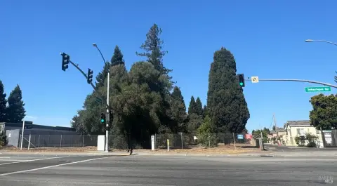Commercial Land with Road Frontage
