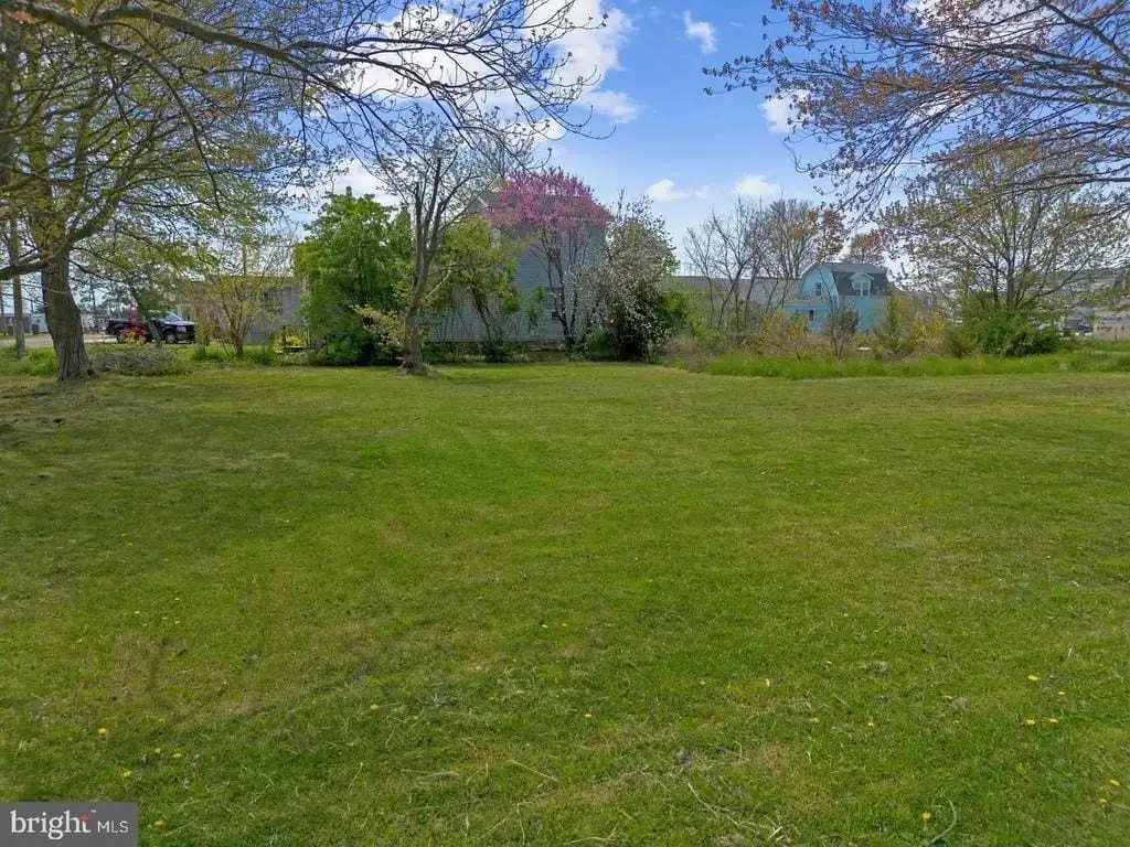 Picture 4