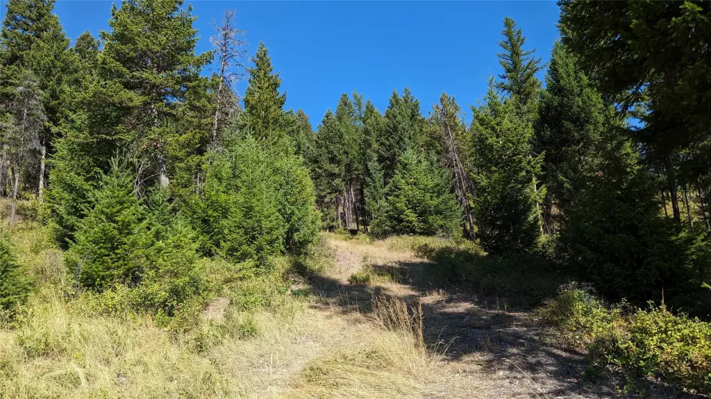 Picture 21