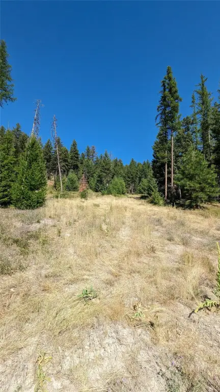 Picture 22