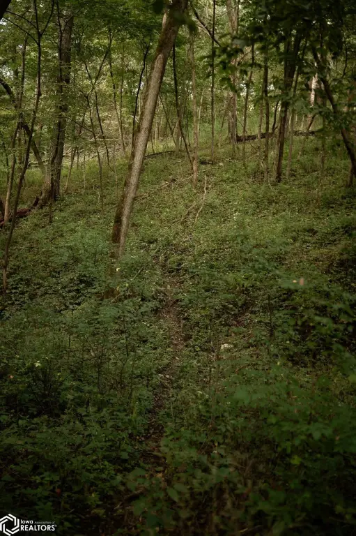 Picture 42