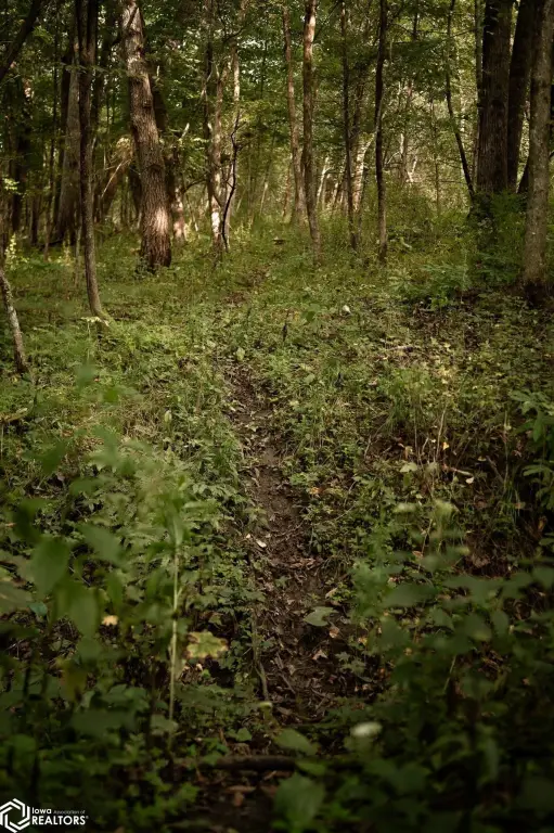 Picture 41