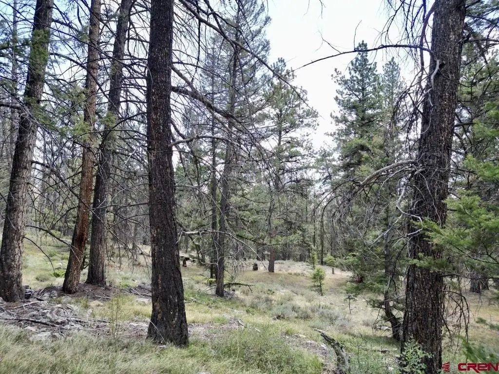 Picture 34