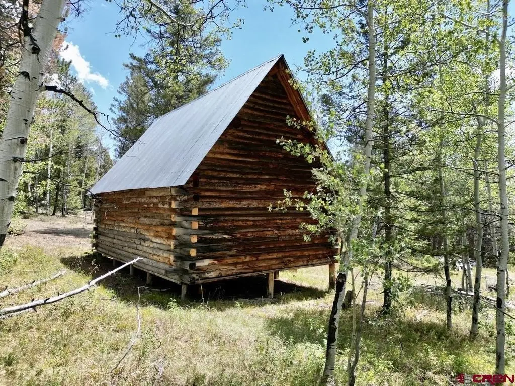 Picture 8