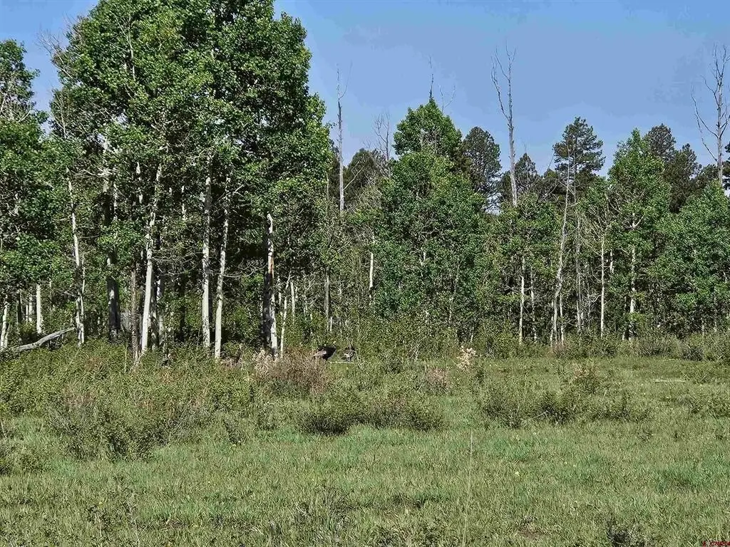 Picture 29