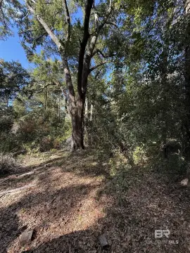 Rosinton Land with Scenic Stream