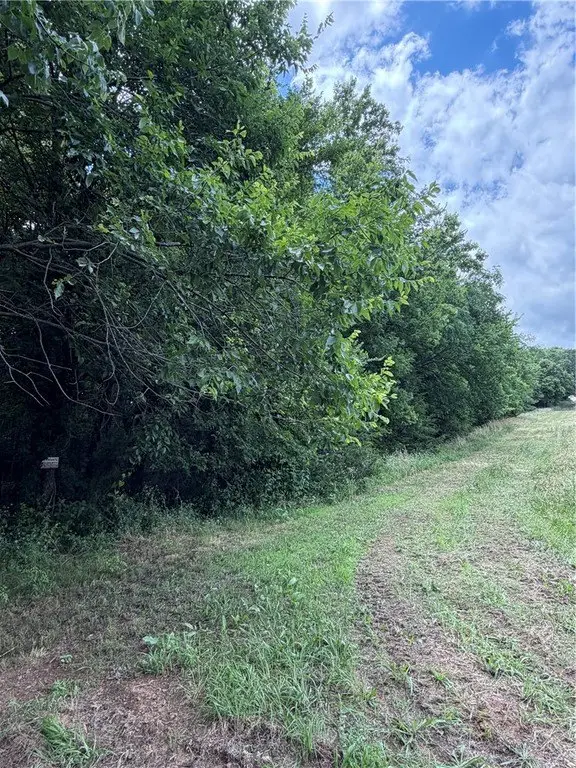 Picture 8