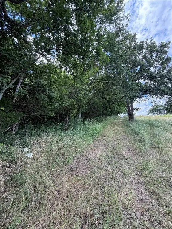 Picture 10