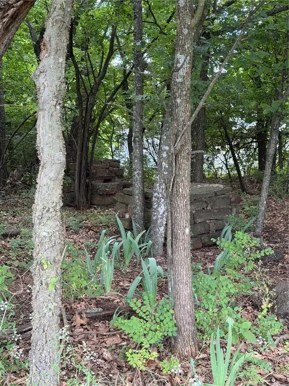 Picture 11