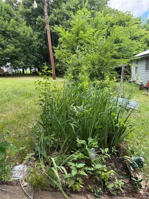 Picture 15