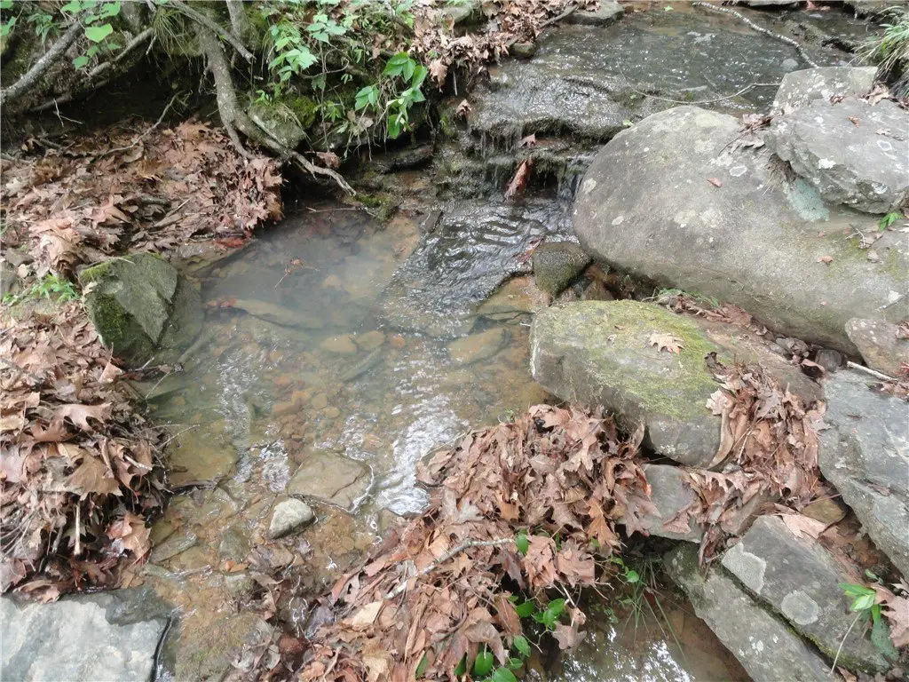 Picture 31