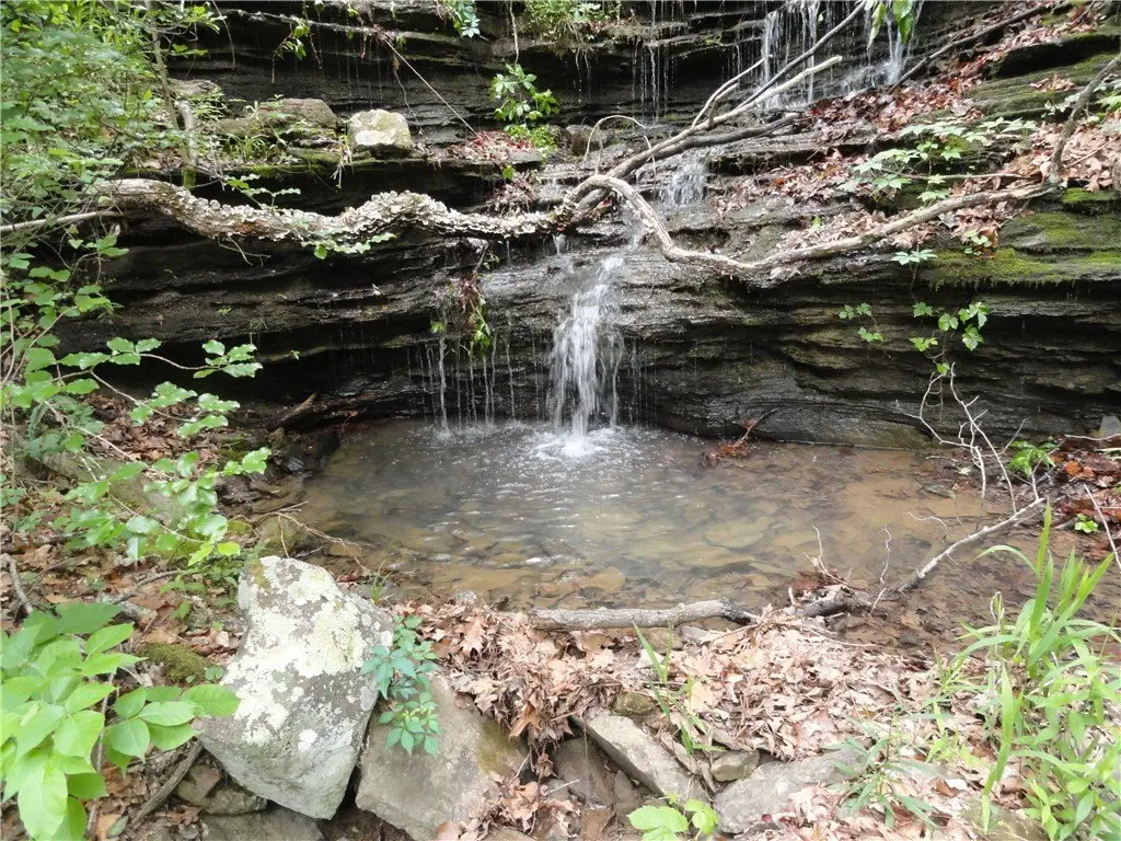 Picture 37