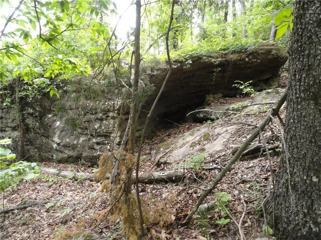 Picture 48