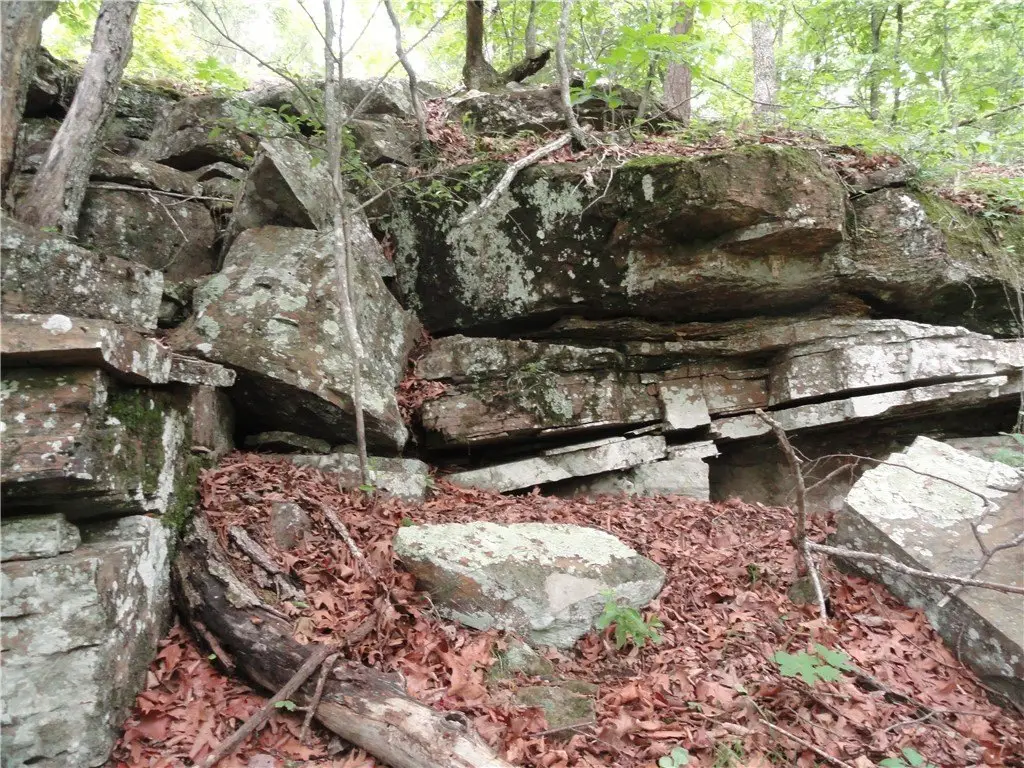 Picture 45