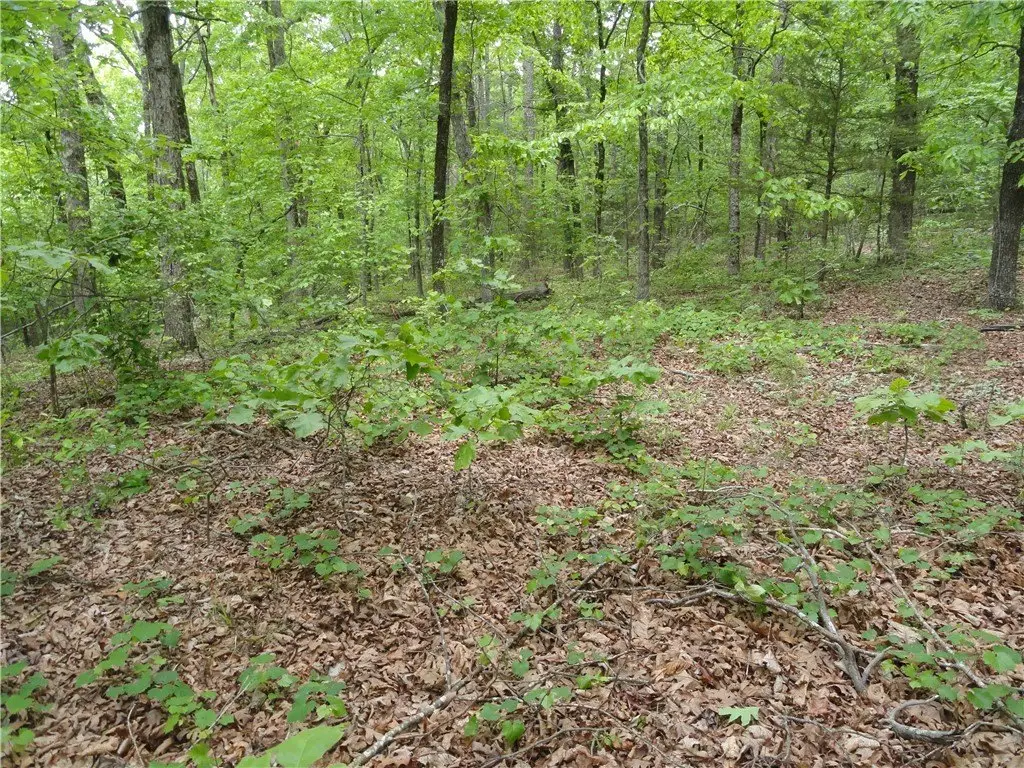 Picture 28